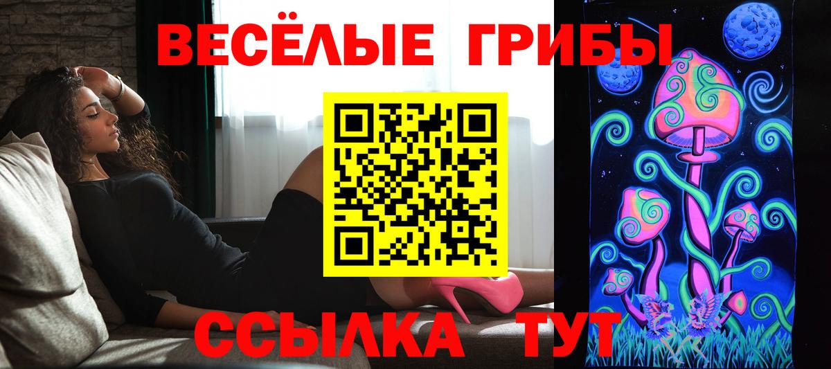 Псилоцибиновые грибы Psilocybine cubensis  Вход с VPN  Псилоцибиновые грибы Psilocybe  Ставрополь 